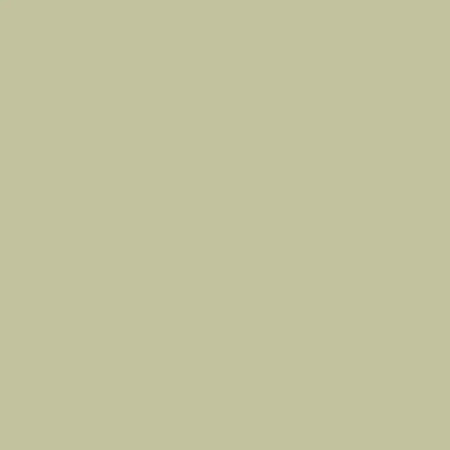 Colourworks Solids in Wasabi