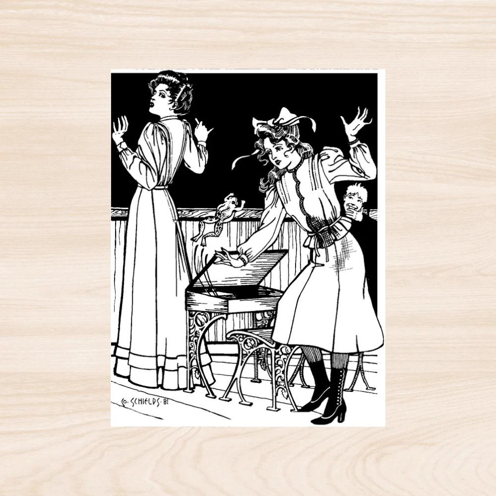Folkwear Schoolmistress' Shirtwaist & Skirt Pattern