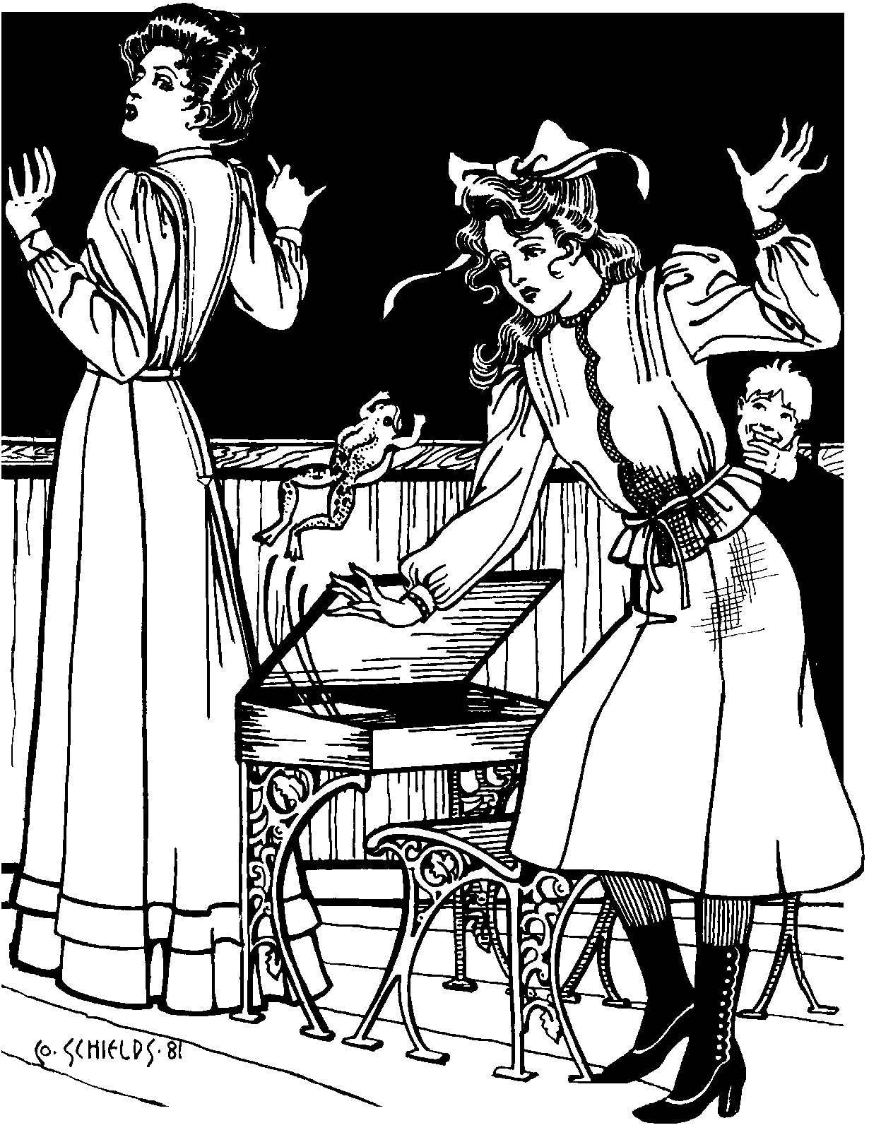 Folkwear Schoolmistress' Shirtwaist & Skirt Pattern - Image 12
