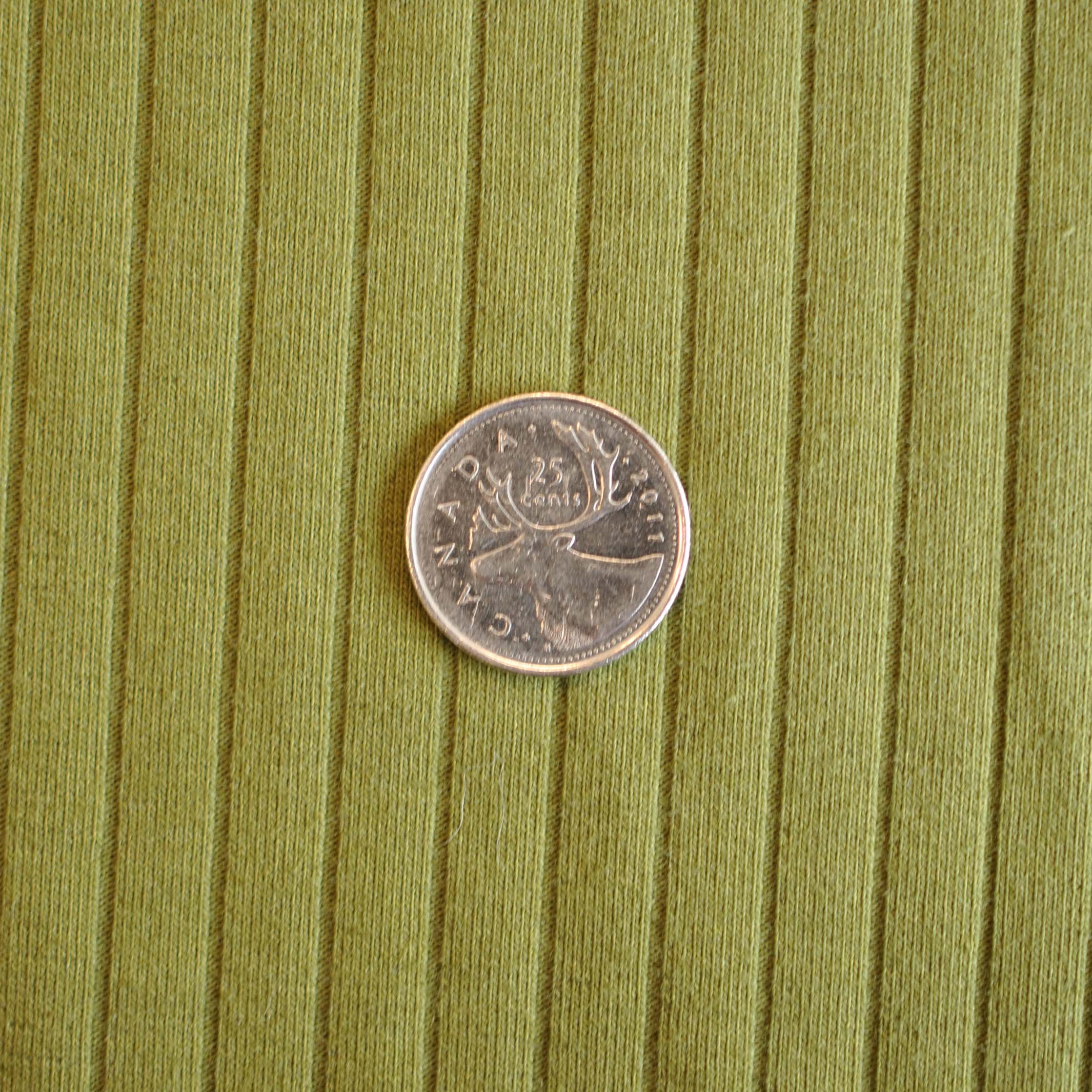 Cotton Blend Ribbed Knit in Moss - Image 4