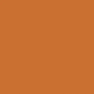 Colourworks Solids in Ginger
