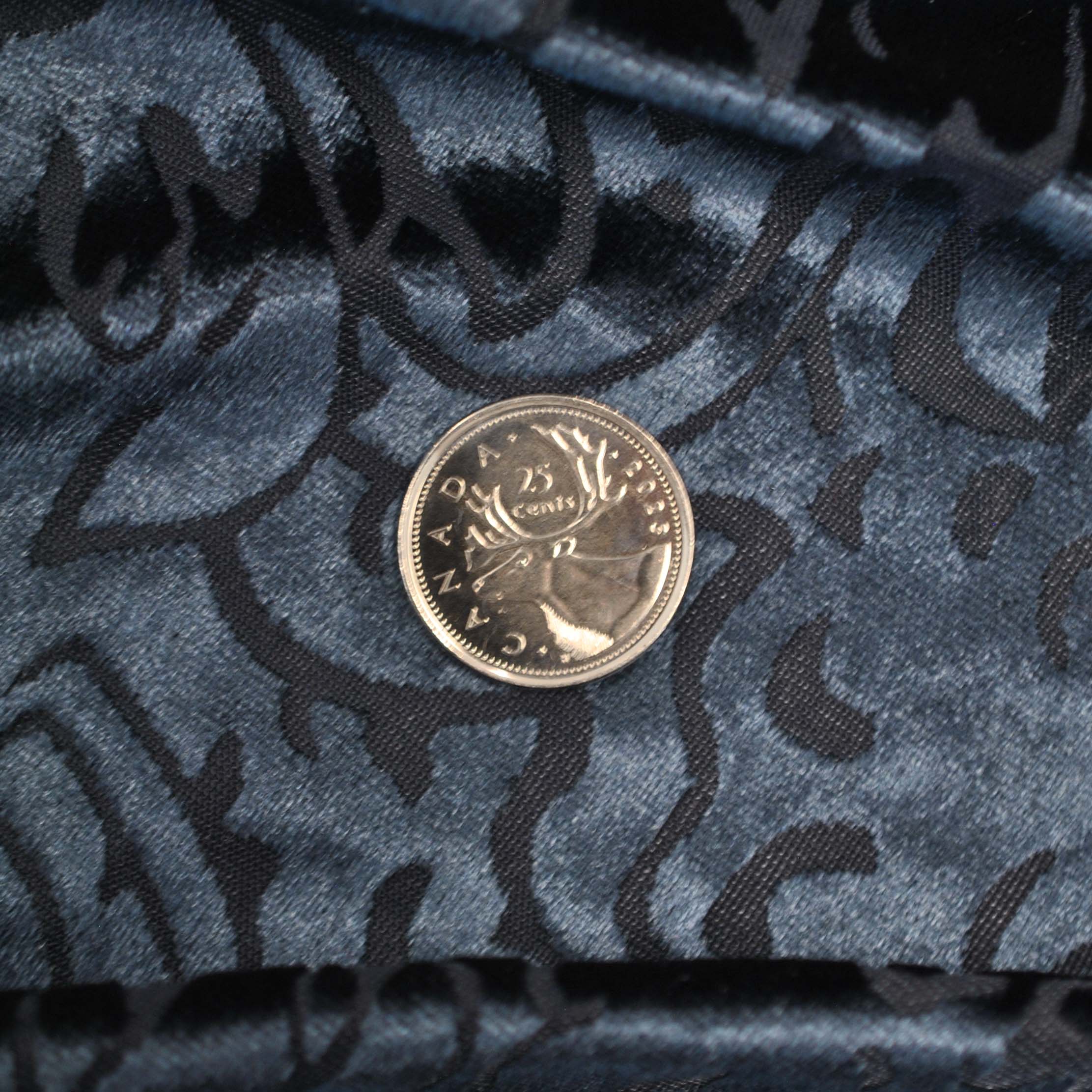 Floral Burn-Out Velour in Navy - Image 4
