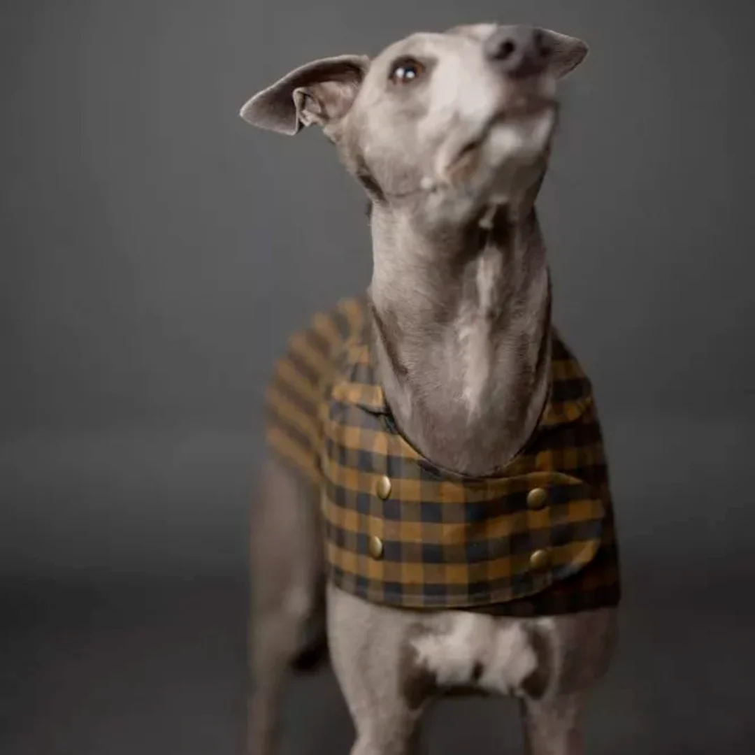 Merchant & Mills The Barka Dog Coat XS-XL - PDF Pattern - Image 3