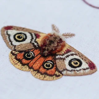 Moth Stitch Sampler - Image 2