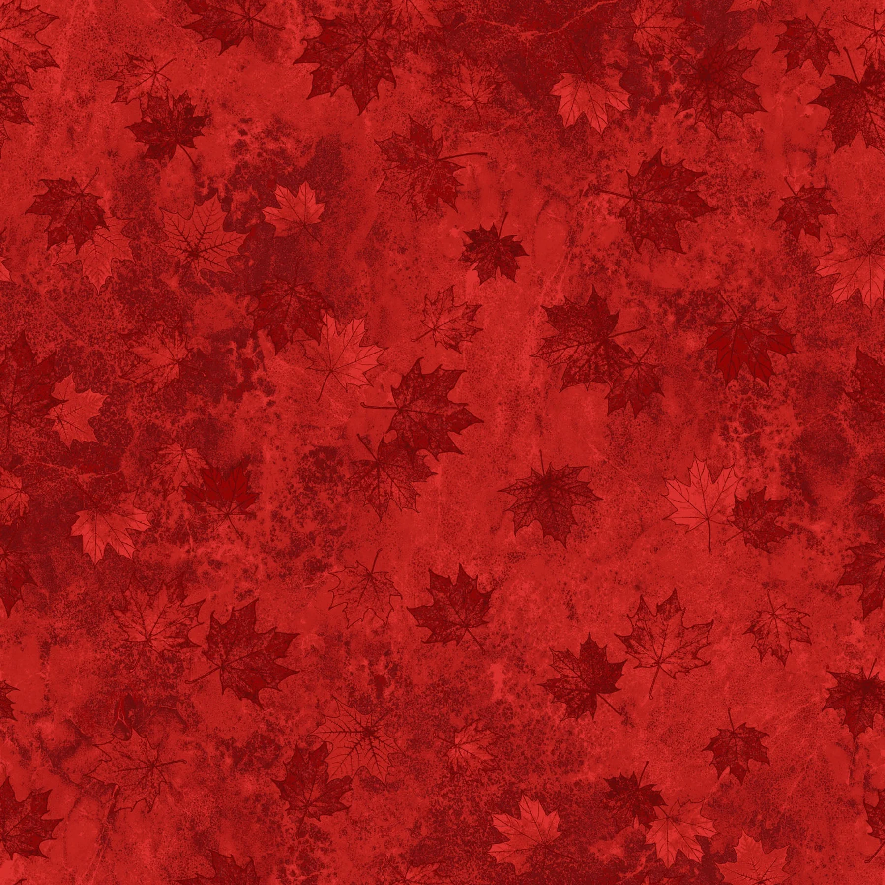 Northcott Oh Canada 14 Tonal Leaves Wideback in Light Red