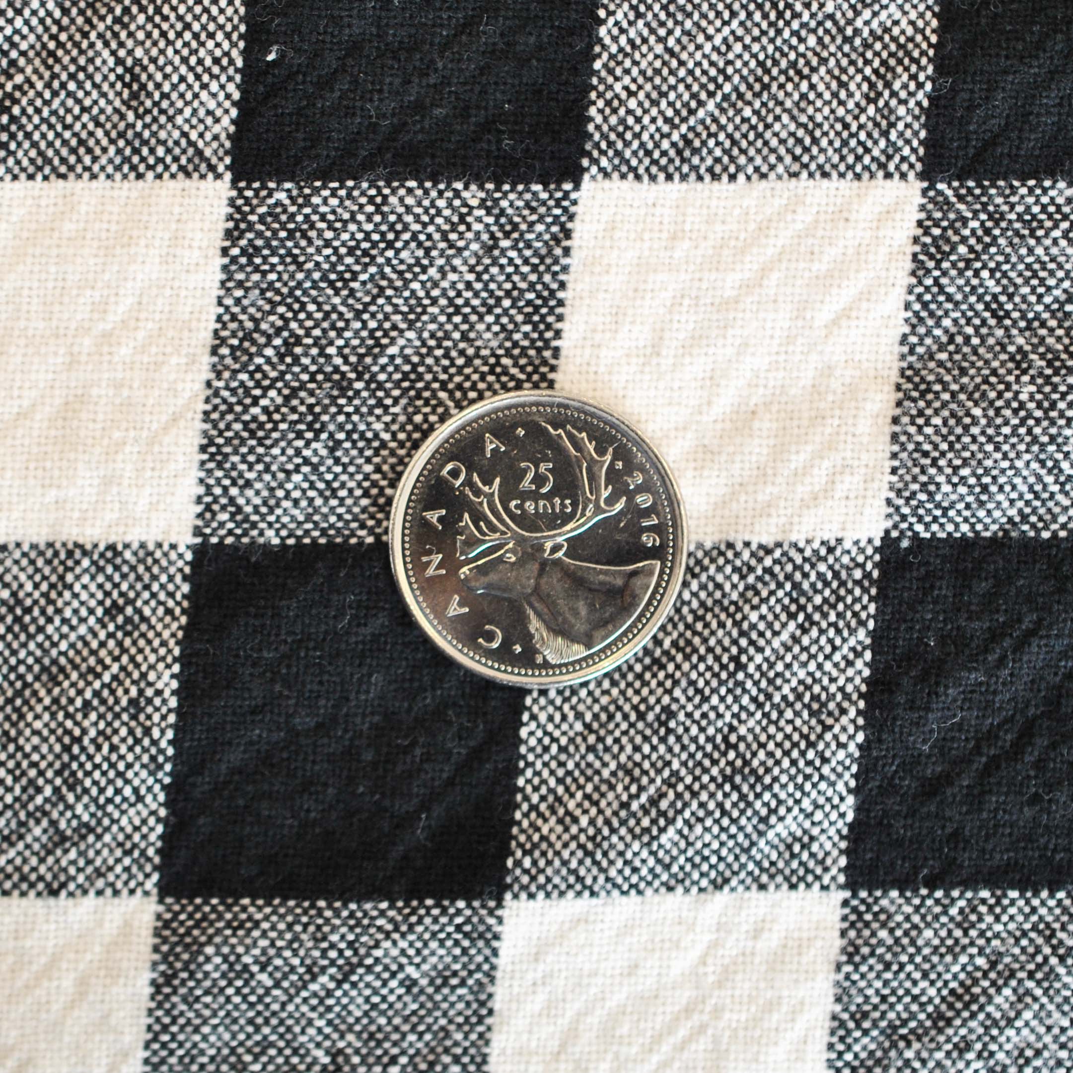 Organic Cotton Gingham in Black - Image 4
