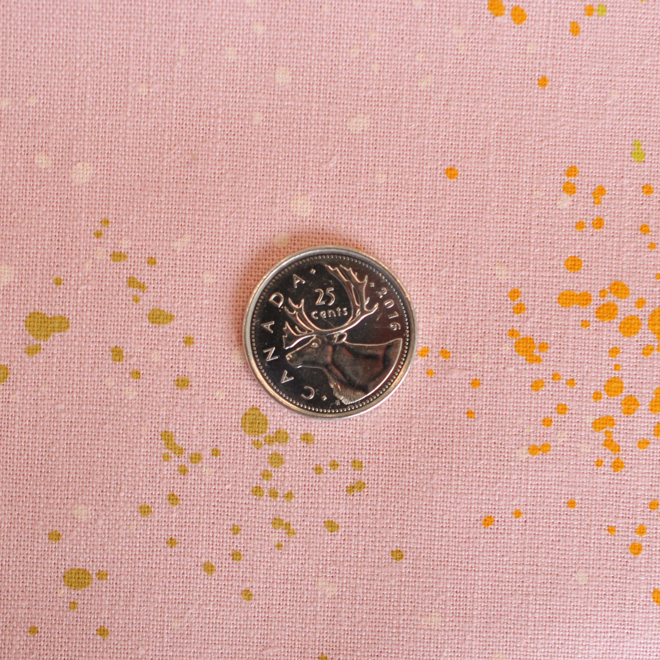 Ruby Star Society Speckled Canvas in Balmy - Image 4