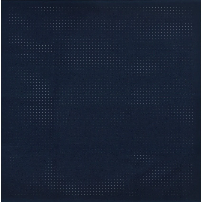 Sashiko 5mm Dotted Grid Cloth - Blue
