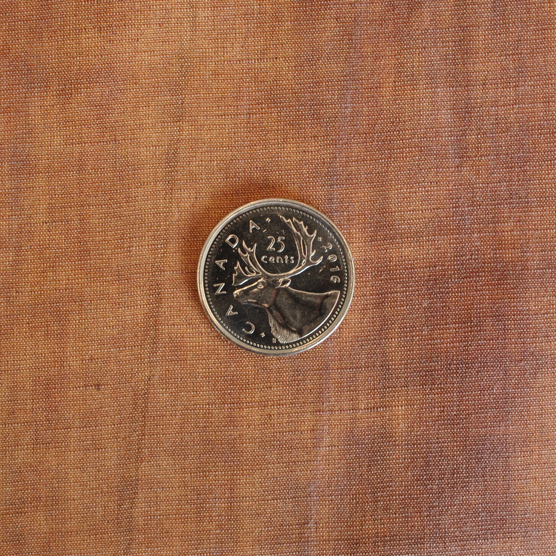 Linen Rayon Blend in Cinnamon - Image 4