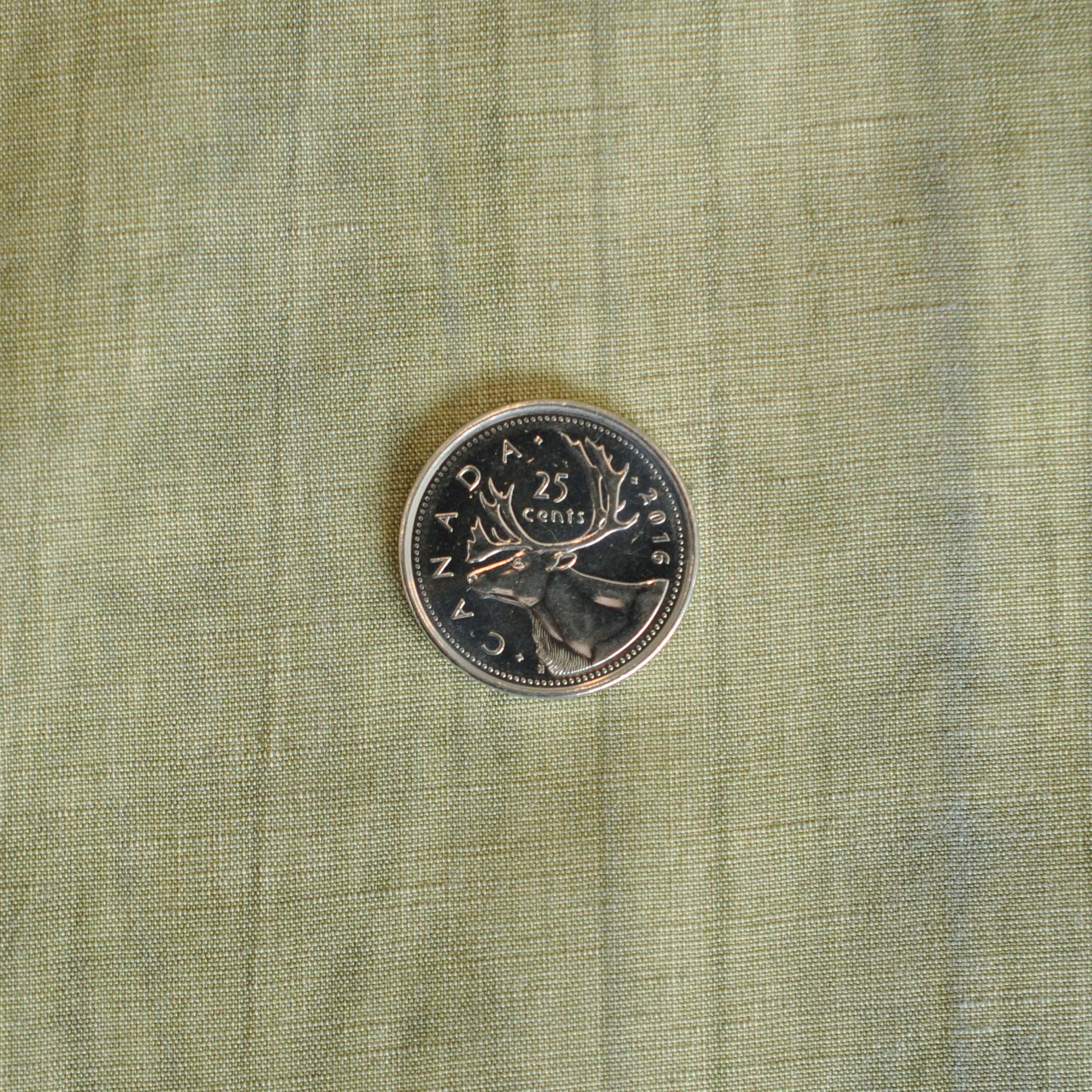 Linen Rayon Blend in Green - Image 4