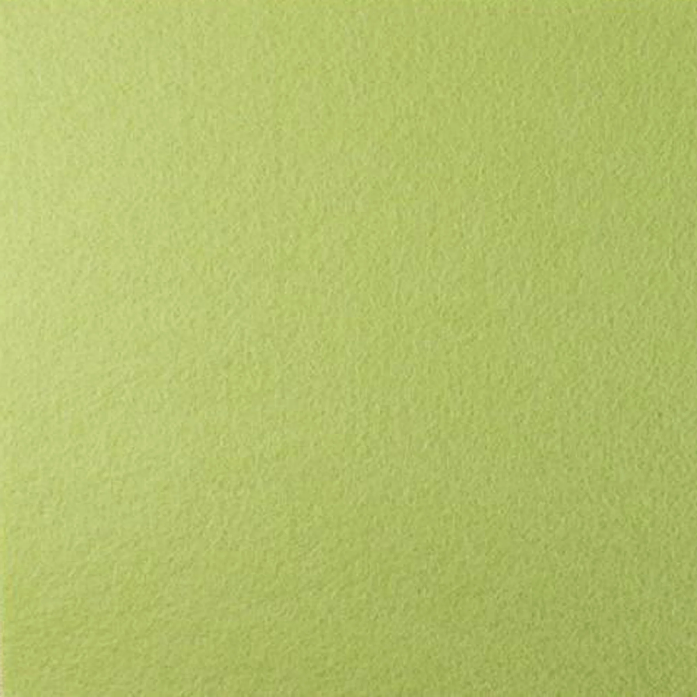 TruFelt 100% Wool Felt Sheets- 541 Pale Green
